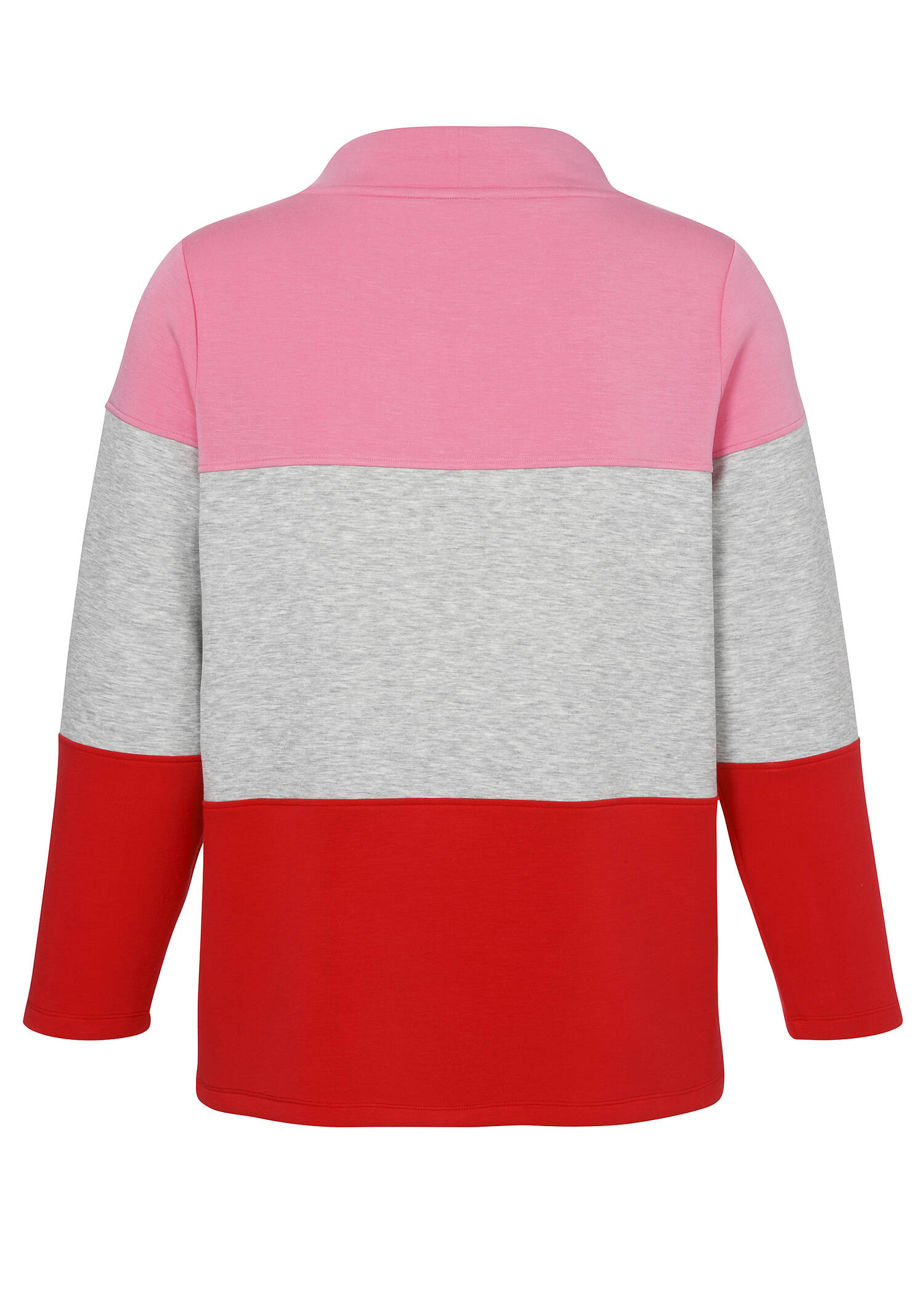Stehkragen-Sweatshirt Tricolor /