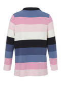 Stehkragen-Sweatshirt Multicolor mit Streifen / 